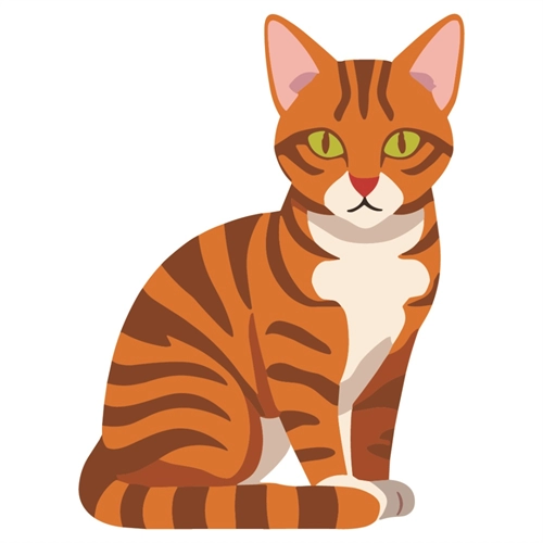 Cat Lovers Theme Ginger Tabby Cat Transparent Sticker